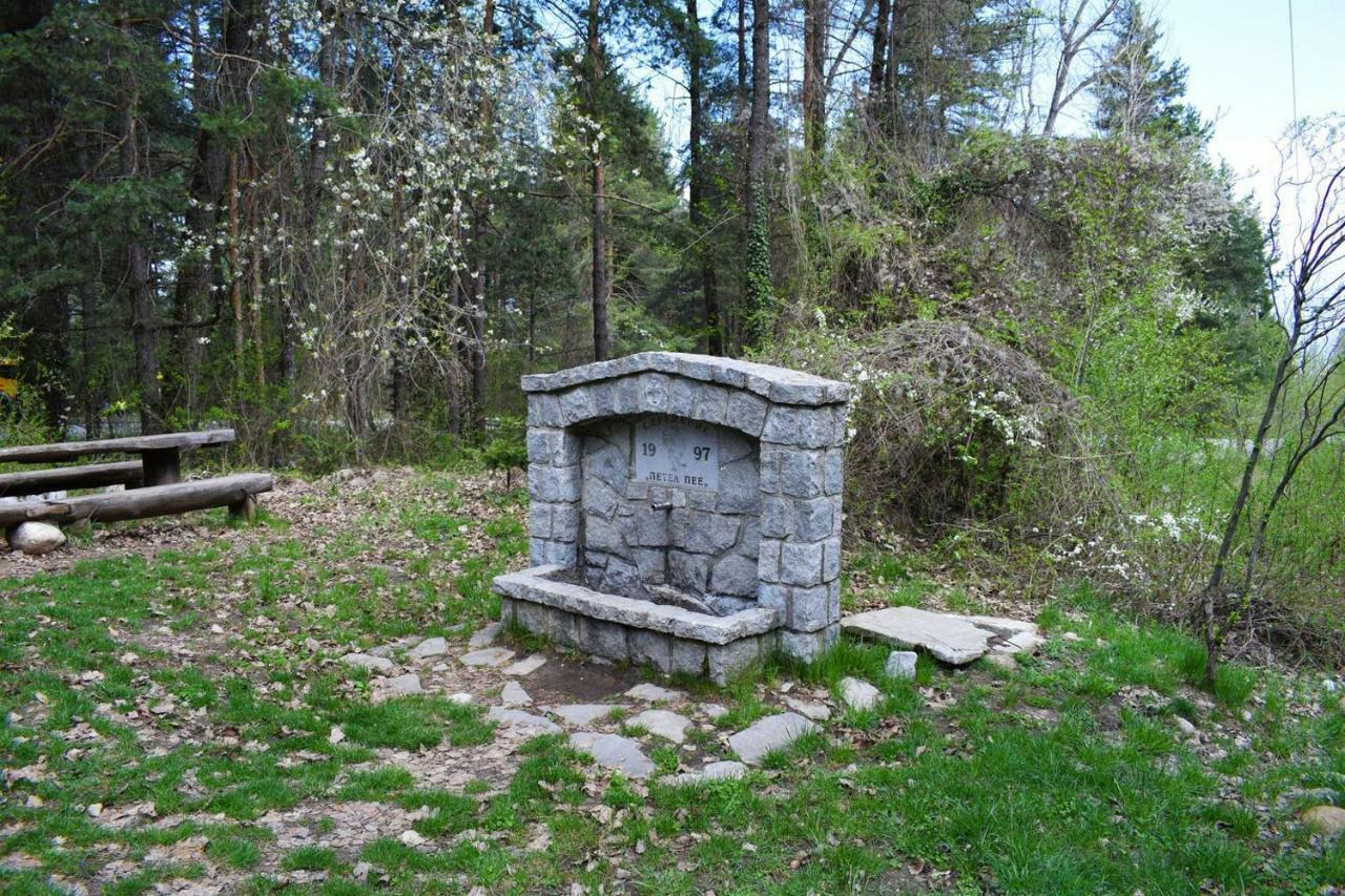 Detelina Residence Bansko Luaran gambar